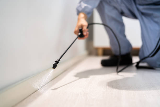 Licensed Pest Control service in Hemlock, MI - Show Me Pest Control